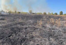У Кременчуці вогнеборці погасили пожежу сухої рослинності